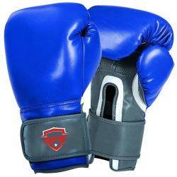 Blue Training Boxing Gloves