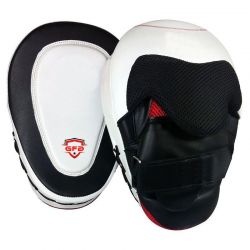 Customized Training Focus Mitts